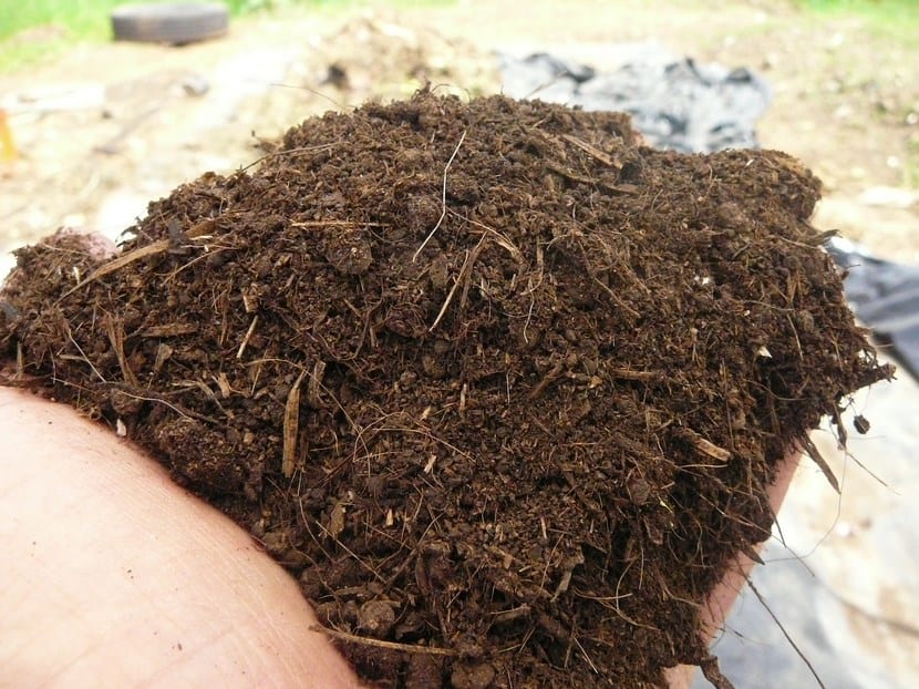 Compost maduro listo para incorporar al suelo del jardín