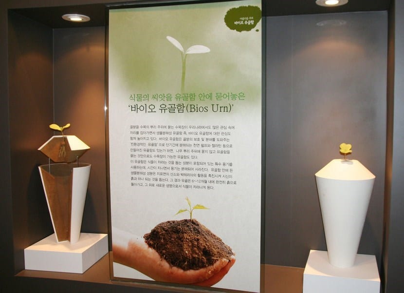 Urna biodegradable para cenizas