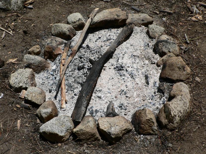 Ceniza de madera procedente de una chimenea