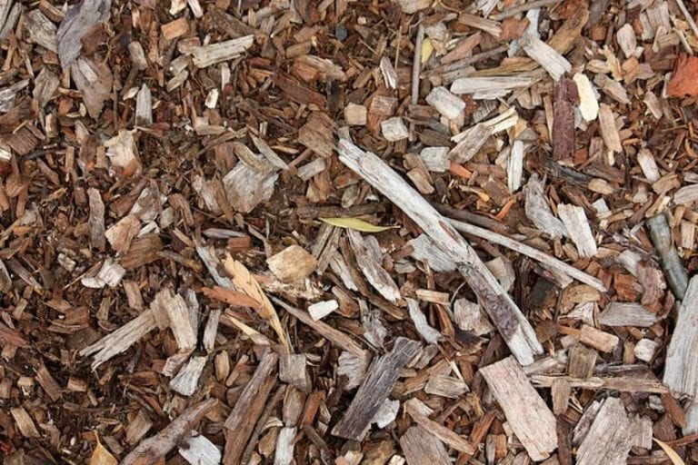 Acolchado orgánico en un arriate de jardín