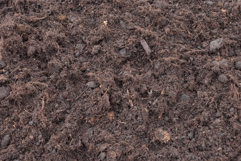 Turba negra, componente habitual de los sustratos