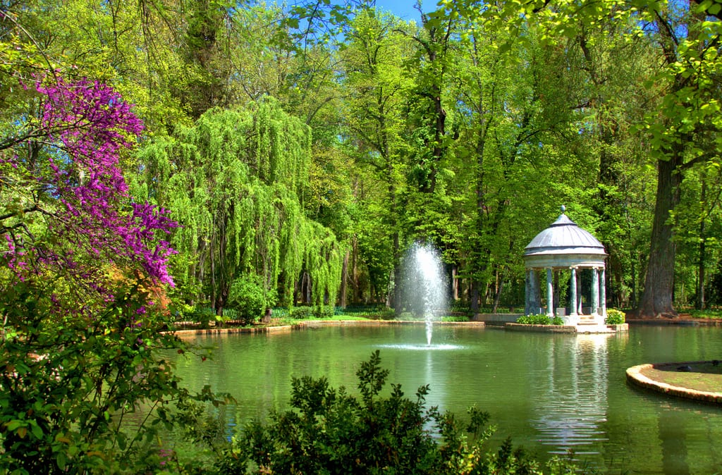 Cómo hacer un jardín ecológico paso a paso