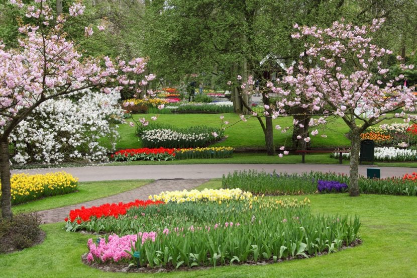 Jardín con césped y arriates en flor a comienzos de la primavera