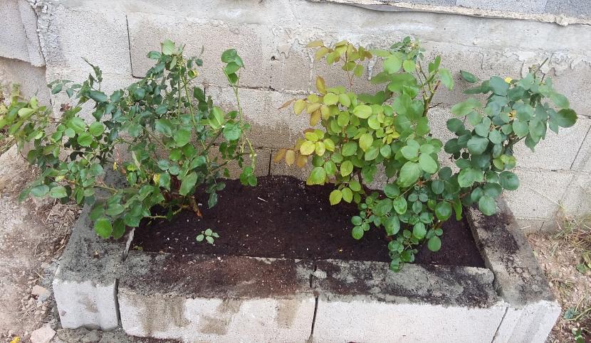 Cómo construir una jardinera con bloques de hormigón