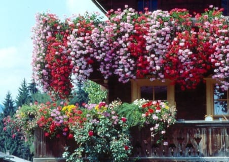 Jardinera de balcón con plantas de temporada