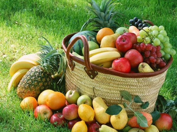 Hortalizas y plantas alimenticias