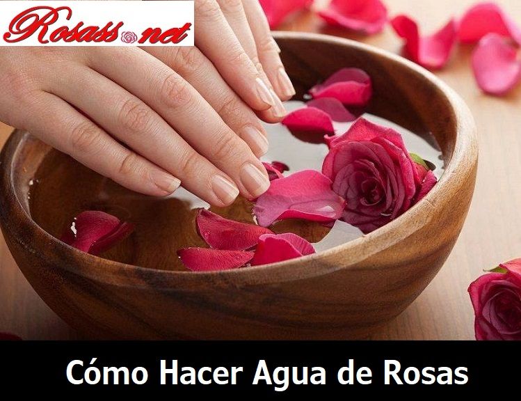Cómo Hacer Agua de Rosas