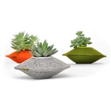 Maceteros de colores para plantas de interior