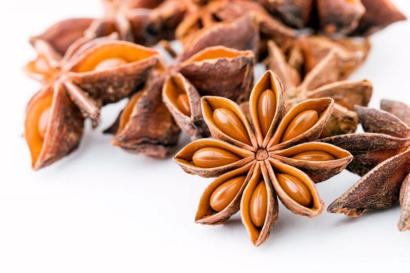Frutos secos de anís estrellado con sus folículos abiertos en forma de estrella