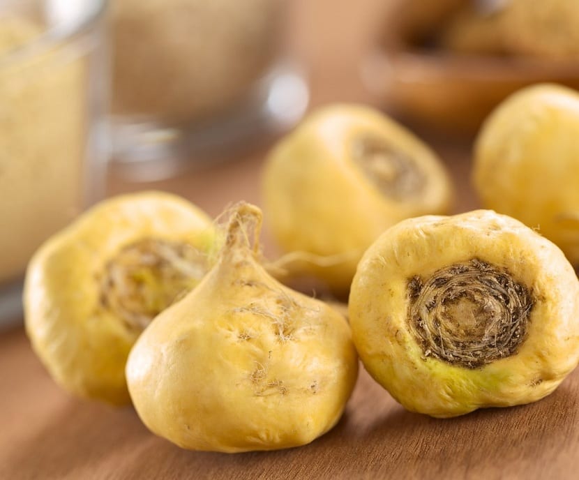 Hipocótilos de maca de distintos colores