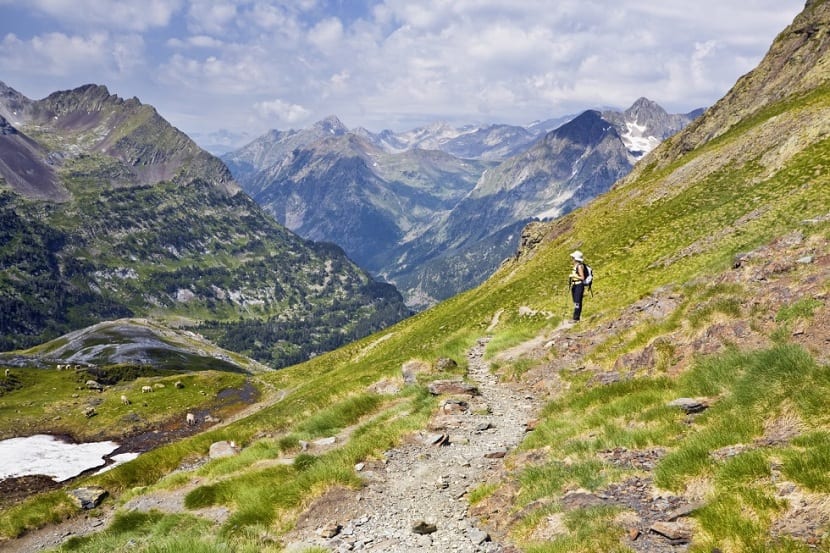 Hábitat de montaña del lirio de los Pirineos