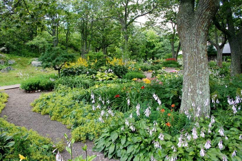 Jardín en pleno verano con vegetación adaptada al calor