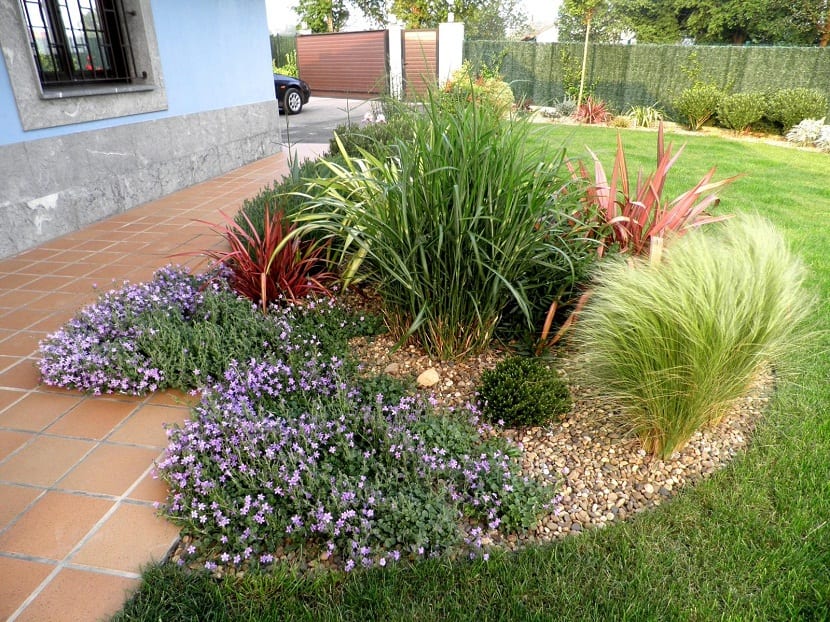 Tipos de plantas tapizantes según cómo se extienden