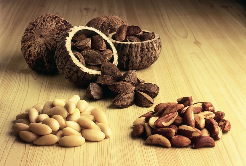 Nuez de Brasil: selenio, selenosis y aflatoxinas