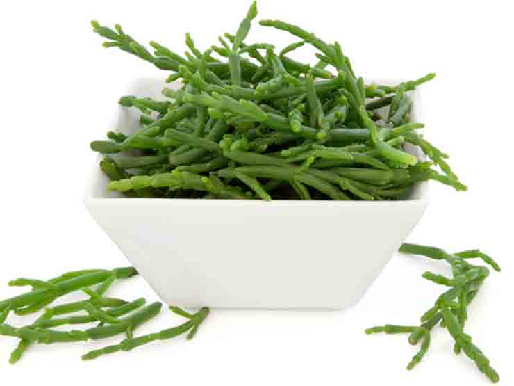 Salicornia o esparrago de mar: que es y como se come