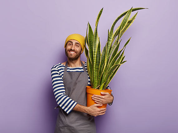 Abecé para principiantes (futuros manos verdes)