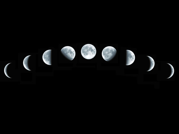 ¿Influye la luna en las plantas?