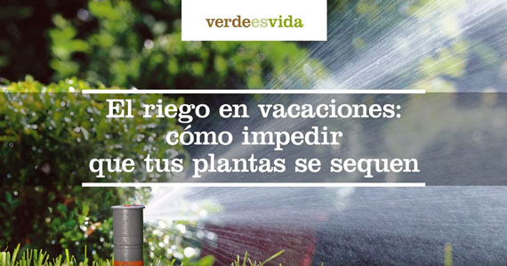 El riego en vacaciones: cómo impedir que tus plantas se sequen