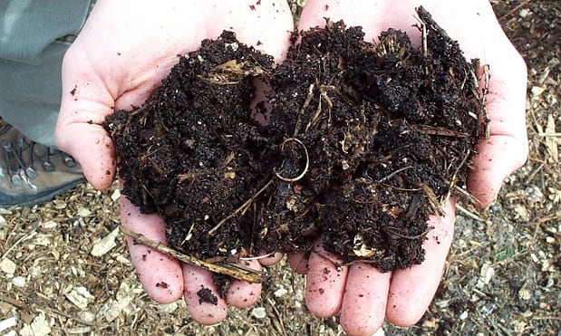 Distintos productos fertilizantes para árboles