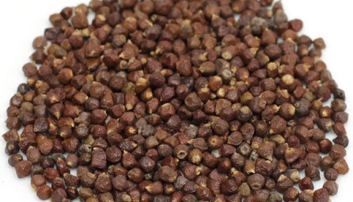 Montón de semillas pardo rojizas de grano del paraíso