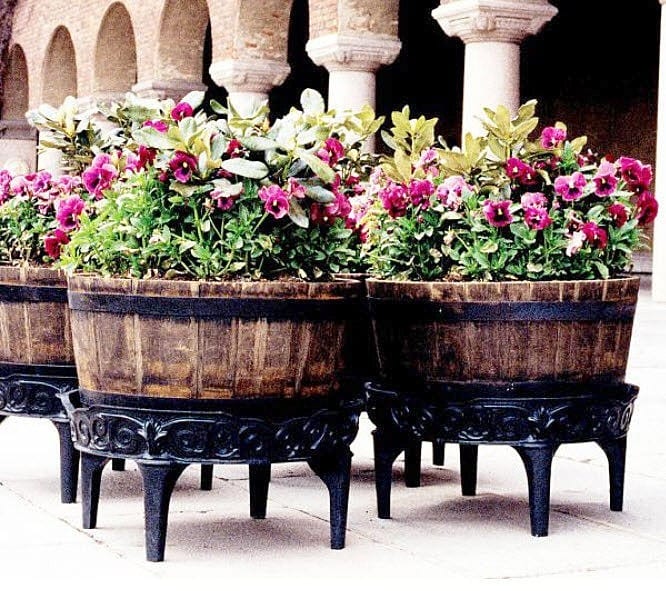 Jardinera con varias especies en flor