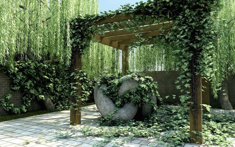Enredadera en flor sobre una estructura de jardín