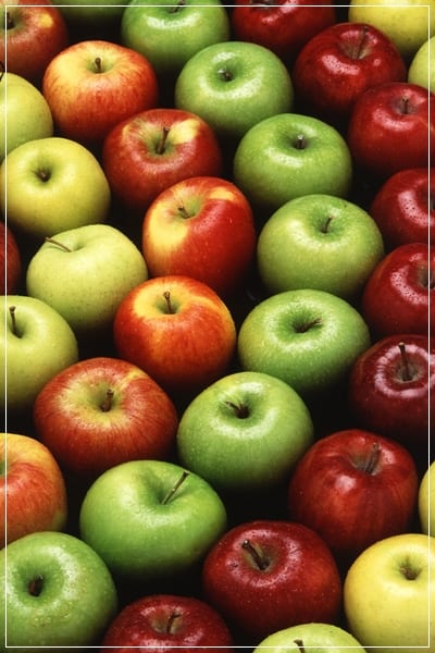 Cómo se conserva la manzana nueve meses: frío y atmósfera