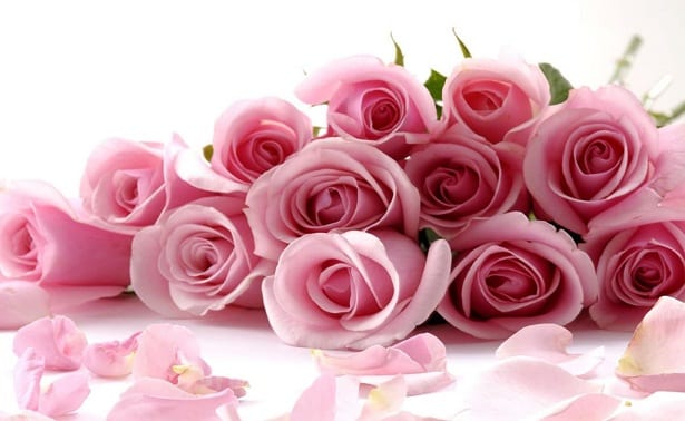 Ramo de flores cortadas recién adquirido en la floristería