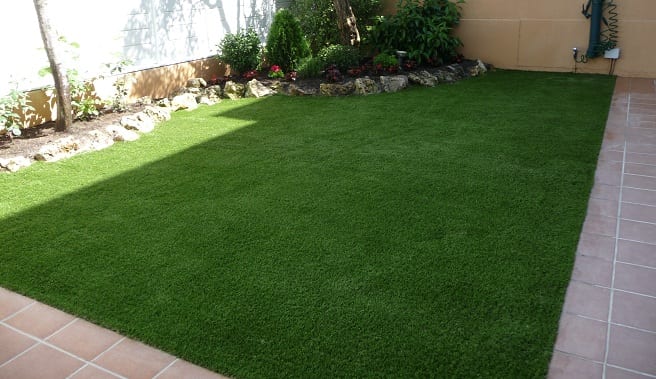 Jardín pequeño en preparación