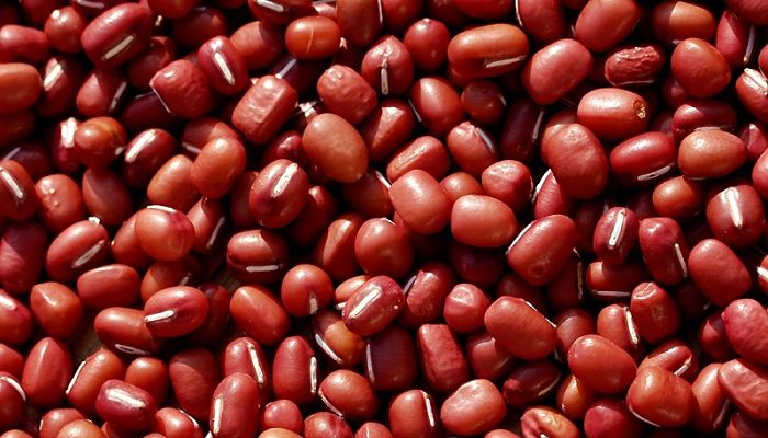 Granos de adzuki, rojo oscuro con la línea blanca del hilo