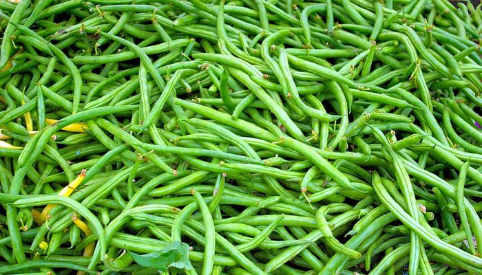 Montón de judías verdes comunes cortas y curvadas
