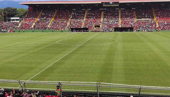 Campo de fútbol con césped de gramilla rayado por la siega