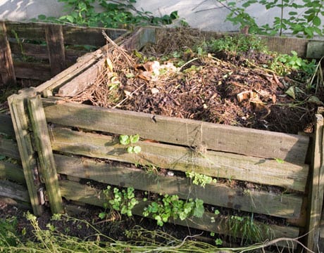 Huerto ecológico con bancales cultivados