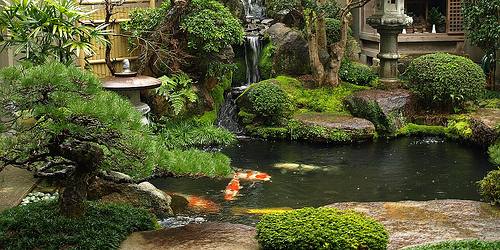 Jardín japonés visto desde el interior de una estancia