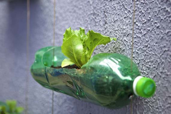 Maceta autorregable casera hecha con una botella de plástico