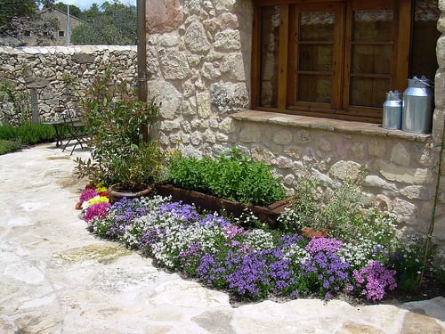 Rocalla de jardín con plantas tapizantes entre las piedras