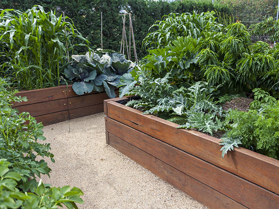 Cómo conseguir un huerto más ecológico