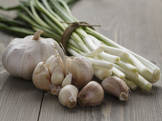 Cuando llegue el frío, planta ajos