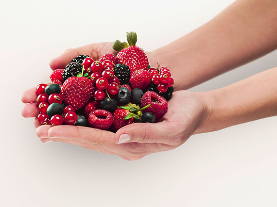 Frutos del bosque: ¡Una fuente de antioxidantes!