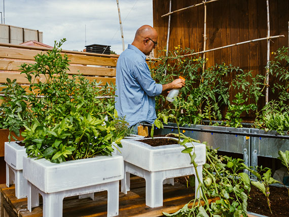 Ocho consejos para el huerto en contenedores