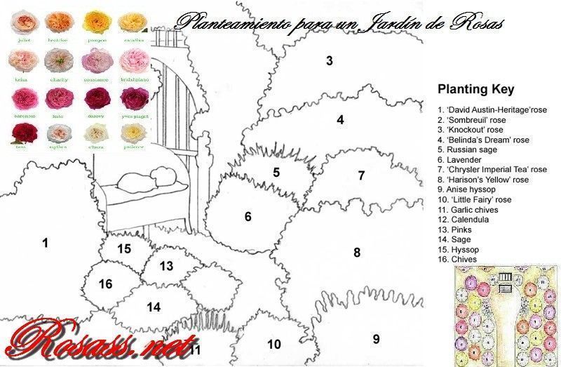Diseñar un Jardín con Rosas