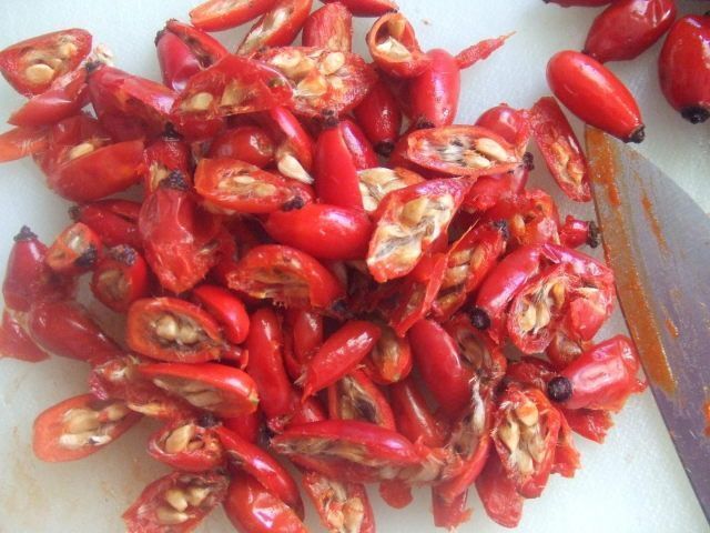 Escaramujo. Propiedades y usos