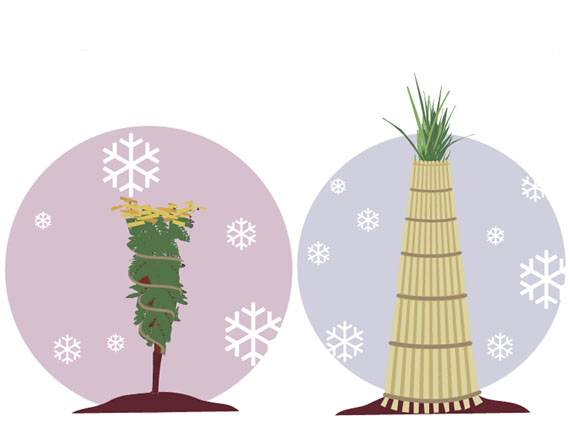 Plantas a salvo del viento, el frío y la nieve