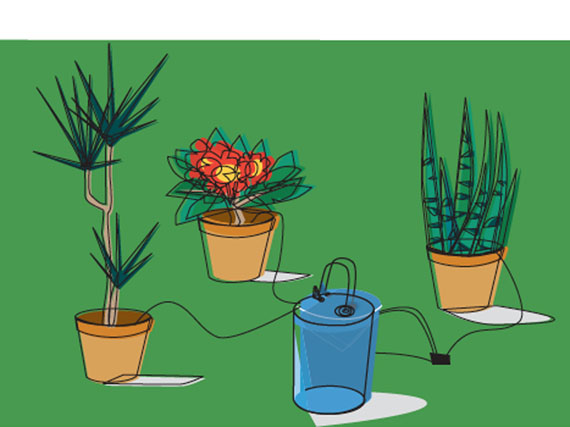 El riego en vacaciones