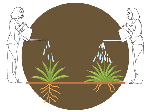 El riego y sus trucos