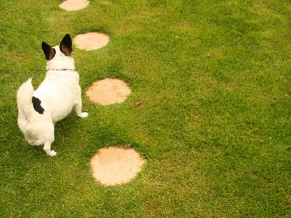Un sendero para el jardín